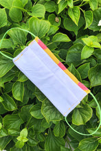 Load image into Gallery viewer, Country Club Face Mask